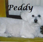 Peddy